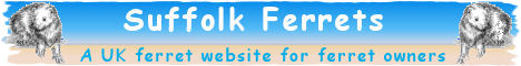 Click Here suffolk ferrets website